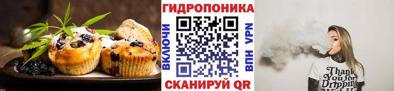 дарнет шоп  Вичуга  Canna-Cookies конопля 