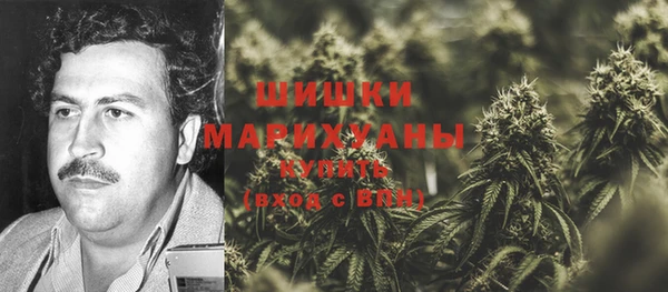 PSILOCYBIN Волосово