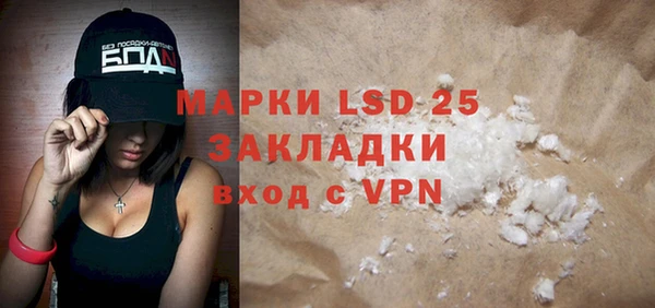 PSILOCYBIN Волосово