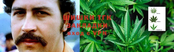 PSILOCYBIN Волосово