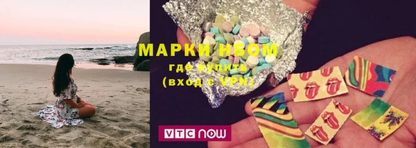 PSILOCYBIN Волосово