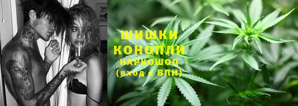 PSILOCYBIN Волосово