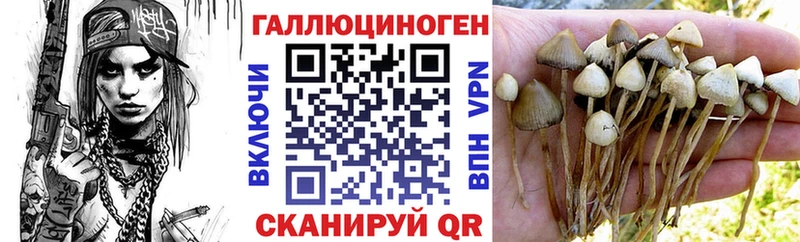 Галлюциногенные грибы GOLDEN TEACHER  Вичуга 